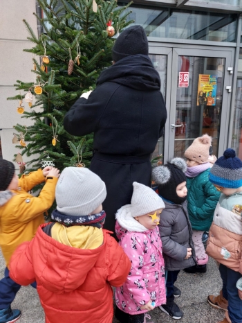 inbound7504939557952739825