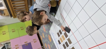 inbound1796188420249612947