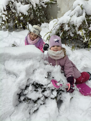 inbound8498754385528081415