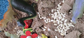 inbound4904524986918947849