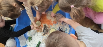 inbound3772021468115218974