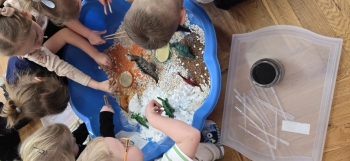 inbound3359158260426677058