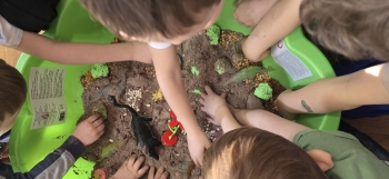 inbound4972793904381753031