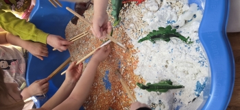 inbound6331883747801034039