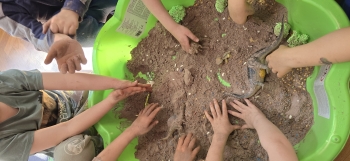 inbound8060775570039911200