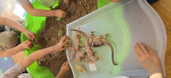 inbound8857670838528357947