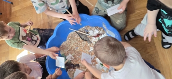 inbound6875397850822668405