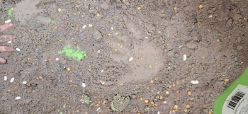 inbound5819917691140426419