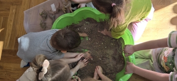 inbound8272436558822765997