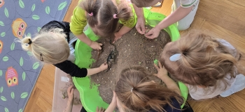 inbound4430395125098832827