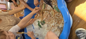 inbound3569678349486121138