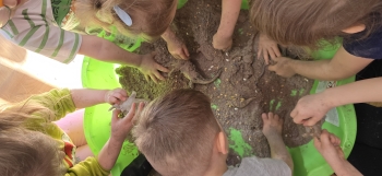 inbound7724246289846342834