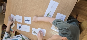 inbound4523989765387562263