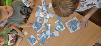 inbound265000441085079675