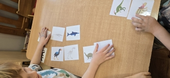 inbound2483925030814805094