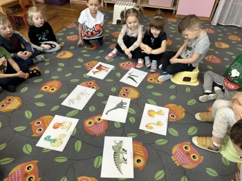 inbound2641731412932191626