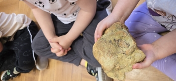 inbound908418377869199275