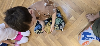 inbound5284432052987970103