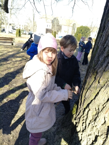 inbound6227450445773826927