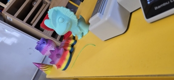 inbound3819202575153300874