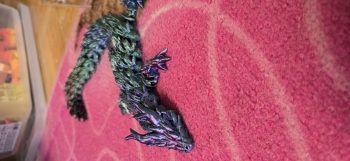 inbound6623752615948056013