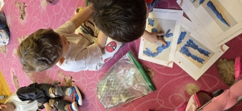 inbound1029818244222546988