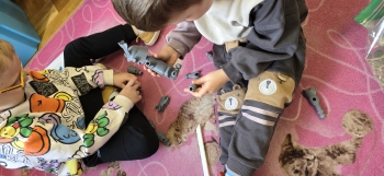 inbound1488778481213952054