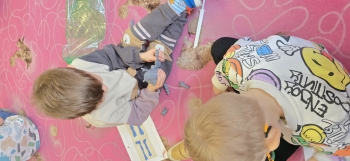 inbound2942332597203477755