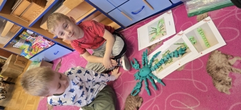 inbound5049617244043949956