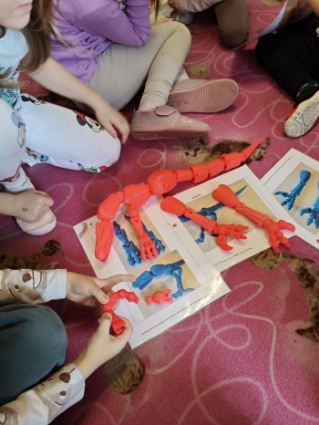 inbound2039465436050306019