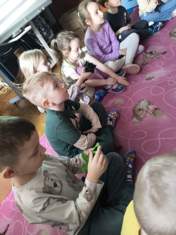 inbound5046354739597160285