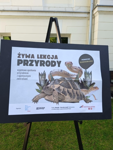 Wakacyjne spotkanie w Książnicy Płockiej