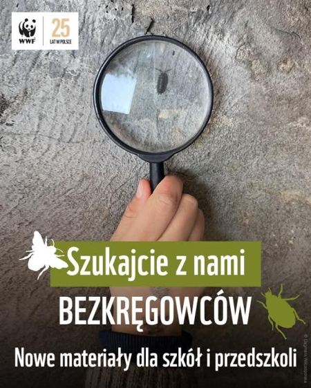 Serdecznie polecamy !!