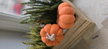  SPOTKANIE INTEGRACYJNE - DYNIE 