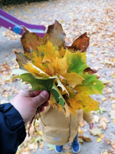 Jesienne spacery i eksperymenty