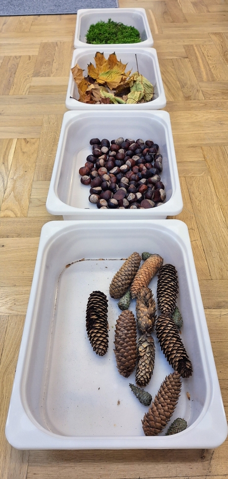 Ścieżka sensoryczna