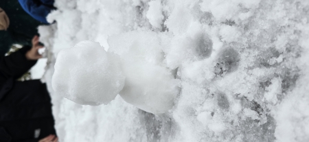 CO SŁYCHAĆ W OGRODZIE ?