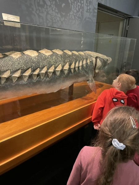 Muzealny Zwierzyniec- zajęcia w Muzeum Mazowieckim